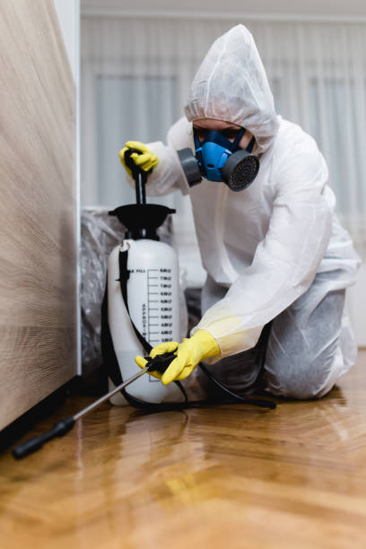 Professional Pest Control in Maywood, CA